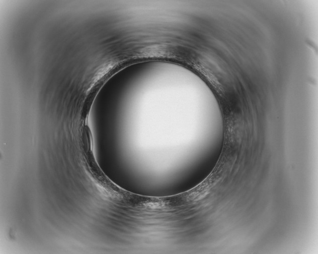 X0000097290160200802221320