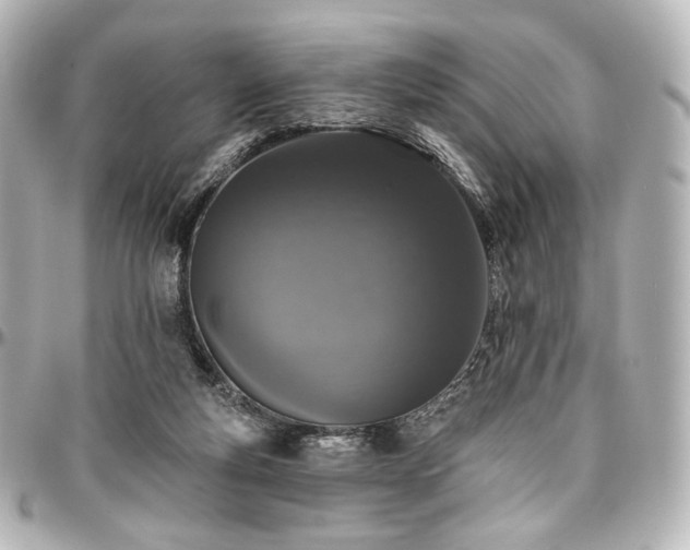 X0000097290163200802221320