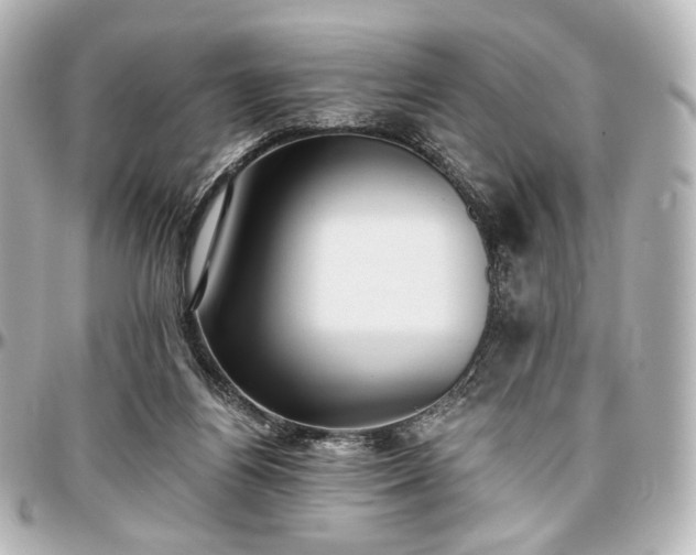 X0000097290164200802221320