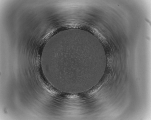 X0000097290165200802221320