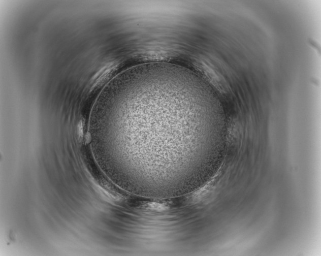 X0000097290166200802221320