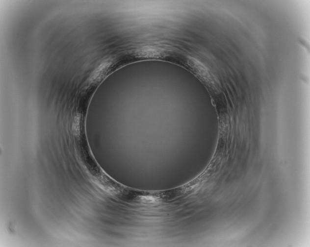 X0000097290167200802221320