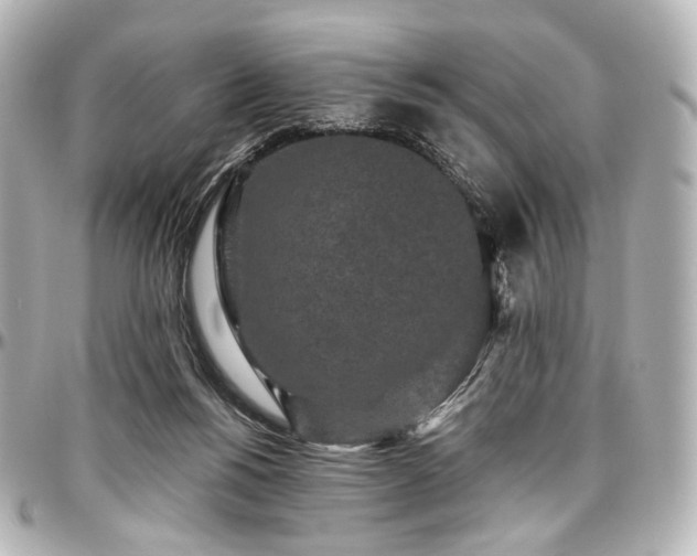 X0000097290168200802221320