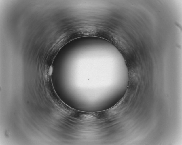X0000097290170200802221320
