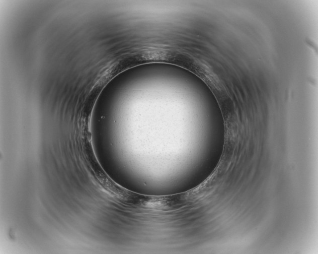 X0000097290171200802221320