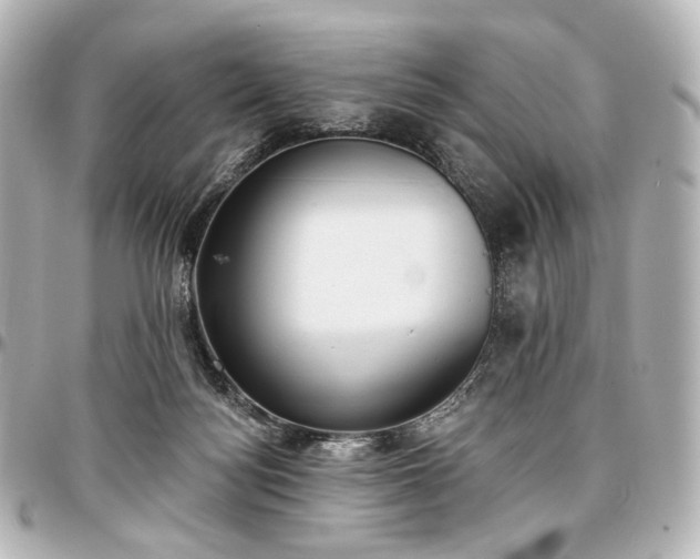 X0000097290172200802221320