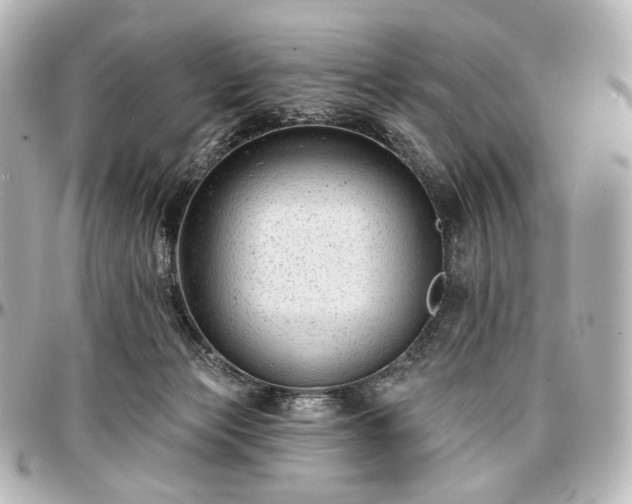 X0000097290173200802221320