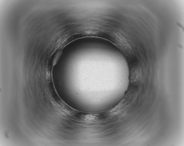 X0000097290176200802221320