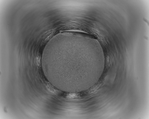 X0000097290177200802221320
