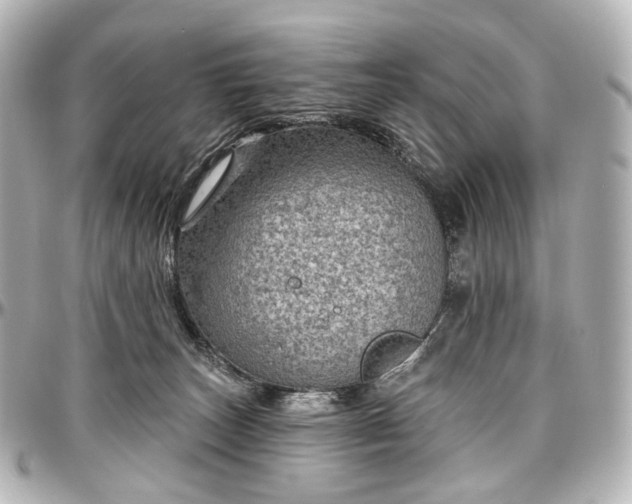 X0000097290179200802221320
