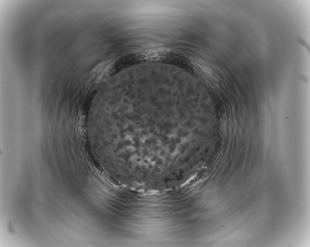 X0000097290181200802221320