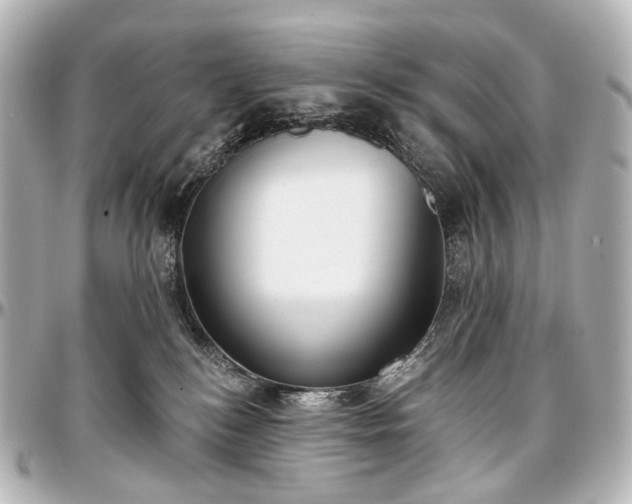 X0000097290184200802221320