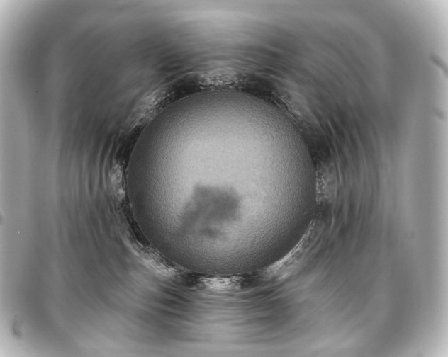 X0000097290187200802221320