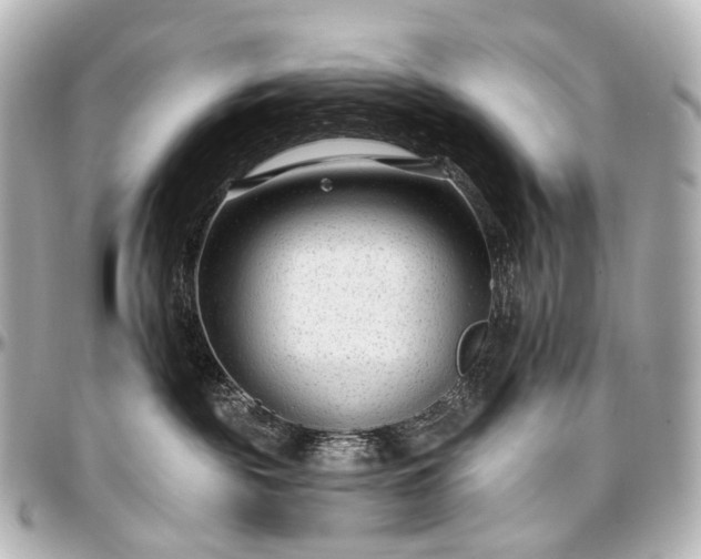 X0000097290189200802221320