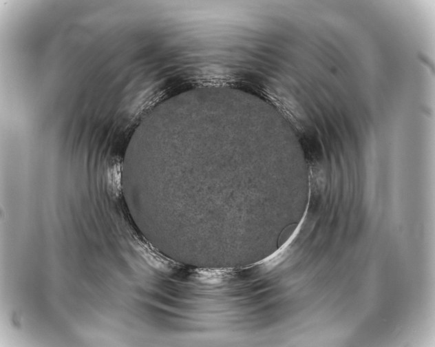 X0000097290190200802221320
