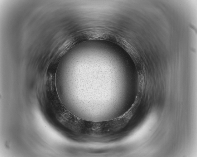 X0000097290191200802221320