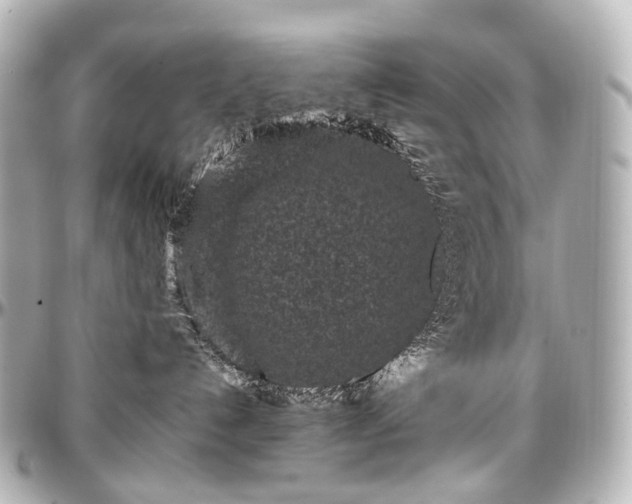 X0000097290192200802221320
