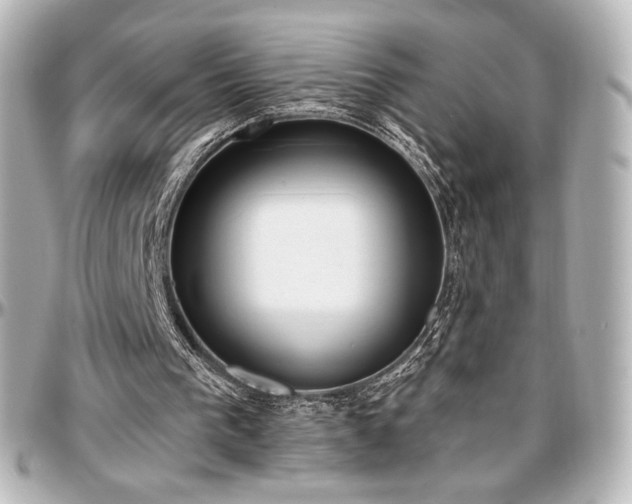 X0000097290193200802221320