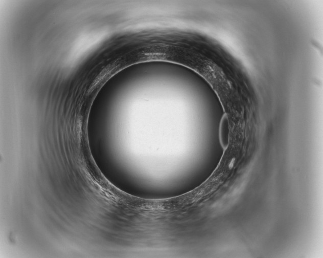 X0000097290194200802221320