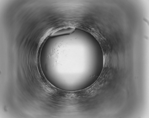 X0000097290195200802221320