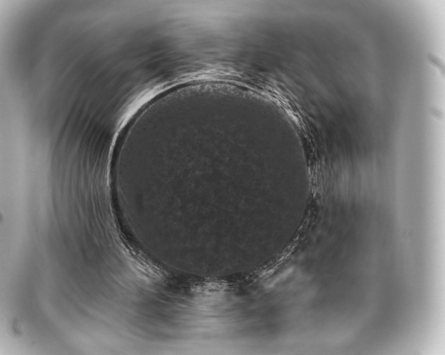 X0000097290196200802221320