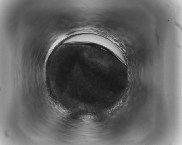 X0000097290200200802221320