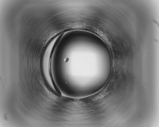 X0000097290201200802221319