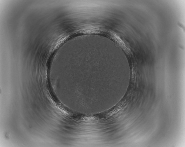 X0000097290202200802221319