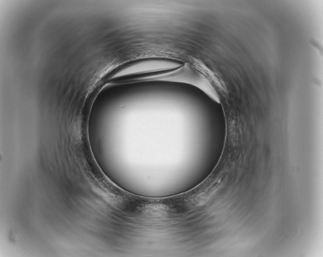 X0000097290203200802221319