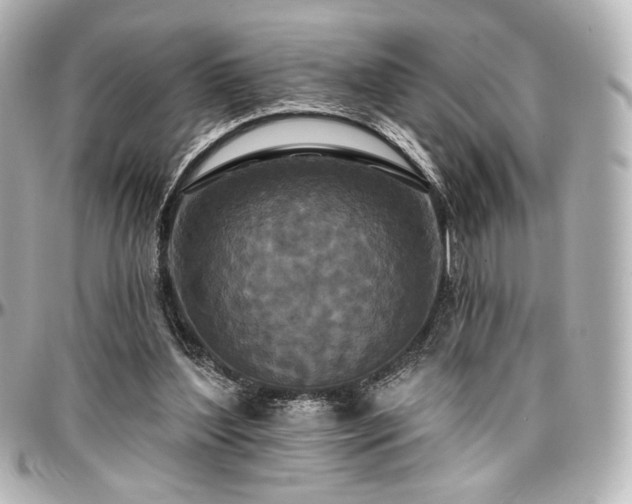 X0000097290204200802221319