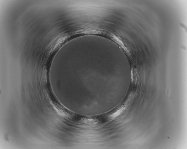 X0000097290205200802221319