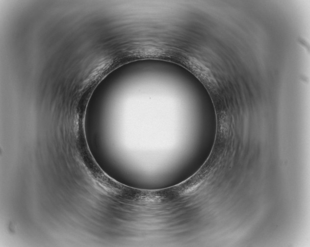 X0000097290206200802221319