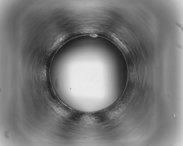 X0000097290207200802221319