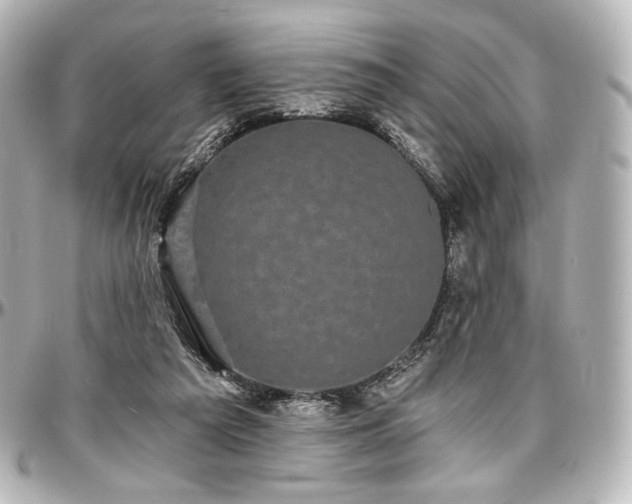 X0000097290209200802221319