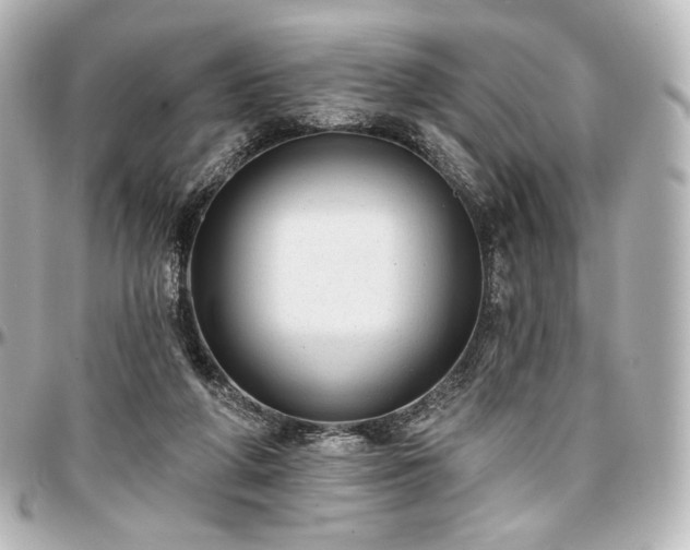 X0000097290210200802221319