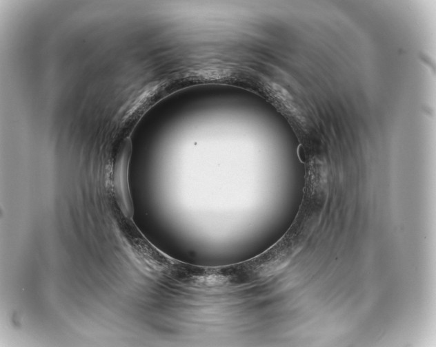 X0000097290212200802221319
