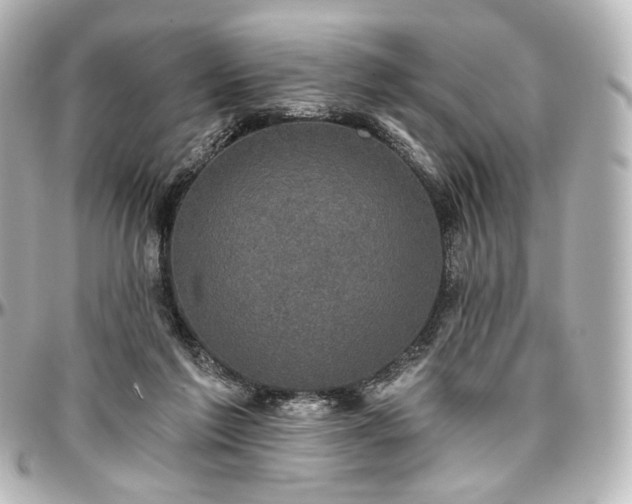 X0000097290213200802221319