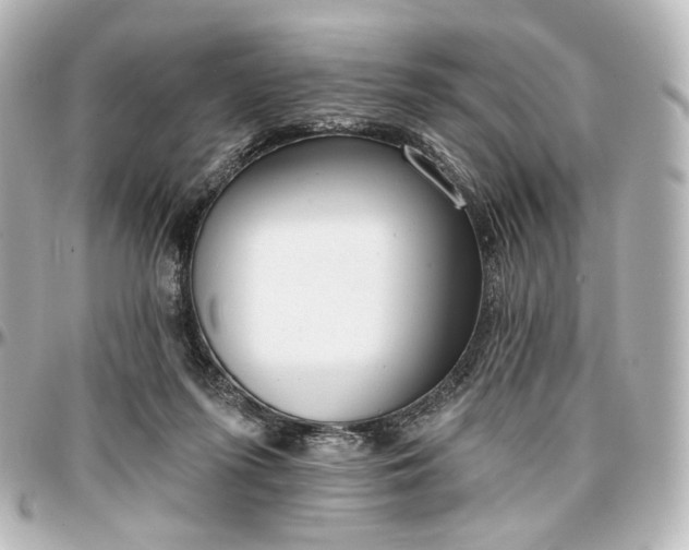 X0000097290215200802221319