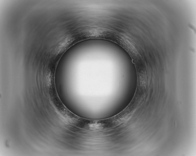 X0000097290216200802221319