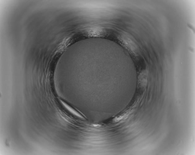 X0000097290217200802221319