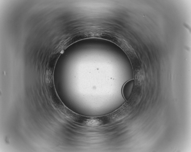 X0000097290218200802221319