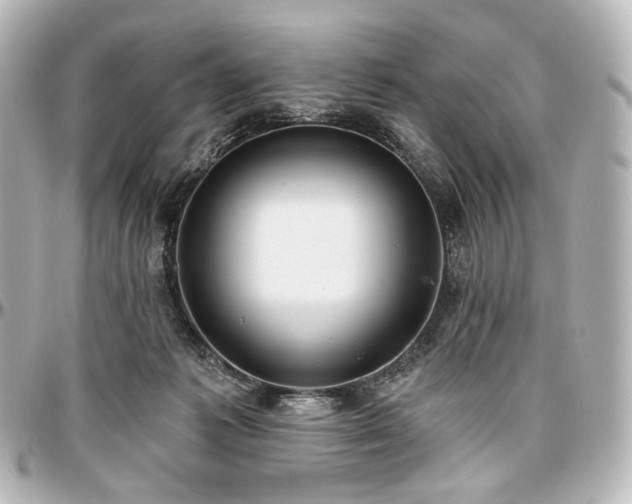 X0000097290221200802221319