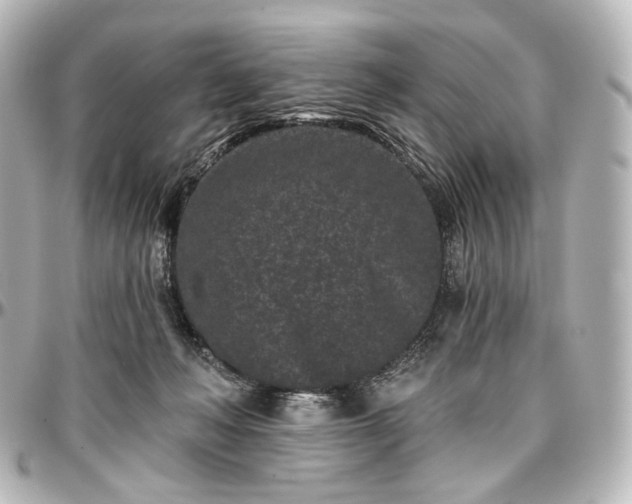 X0000097290222200802221319
