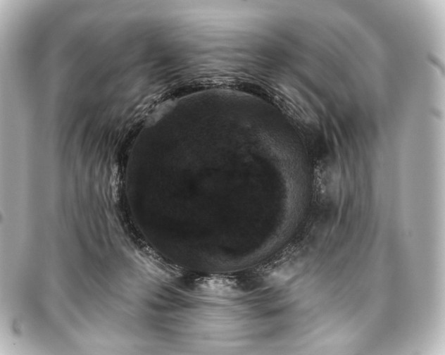 X0000097290223200802221319