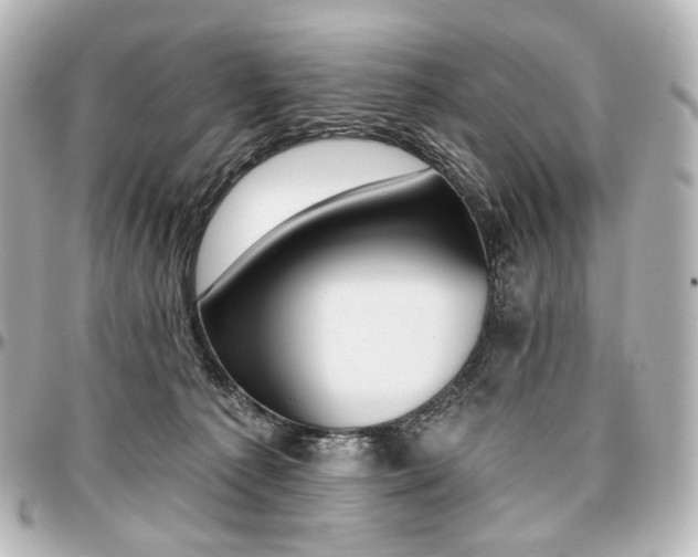 X0000097290225200802221319