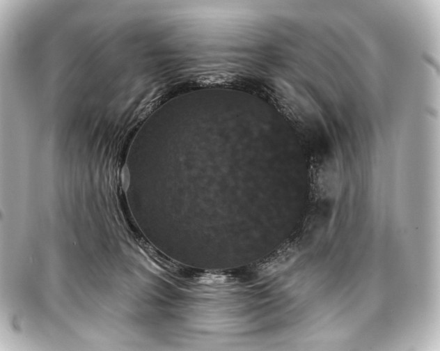 X0000097290227200802221319