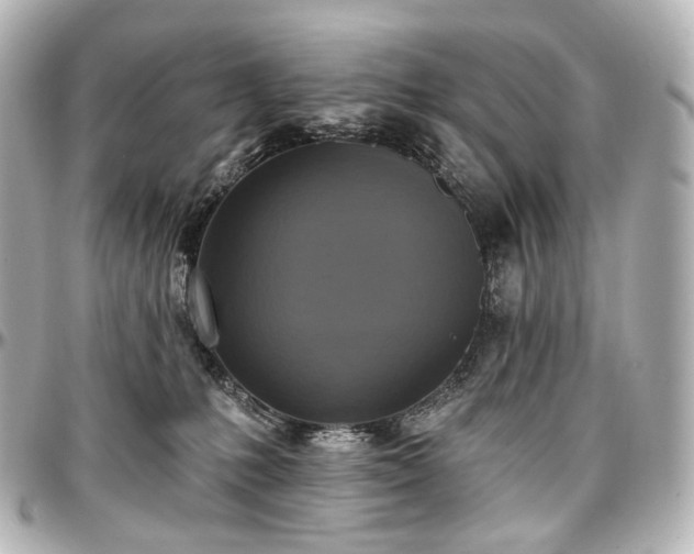 X0000097290231200802221319