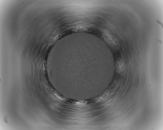 X0000097290232200802221319