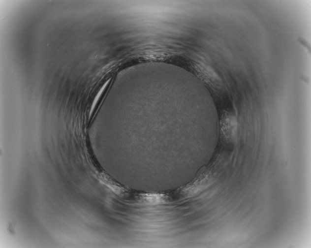X0000097290233200802221319