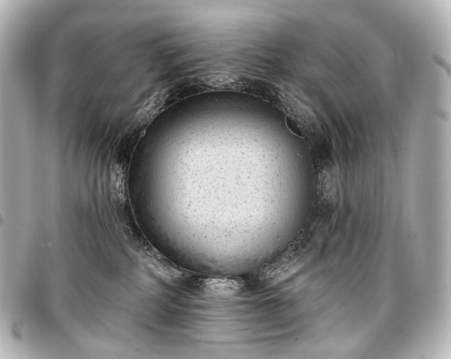 X0000097290234200802221319